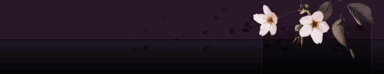 cancer